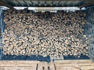 Droog brandhout appel beschikbaar voor biedingen