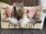 Panier pour chien ou chat., Ophalen