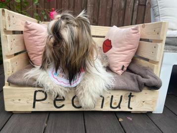 Panier pour chien ou chat. beschikbaar voor biedingen