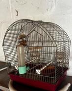 Vogelkooi met toebehoren. Gebruikt maar compleet, Ophalen, Zo goed als nieuw, Metaal, Vogelkooi