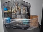 Kooi met 2 parketten, Dieren en Toebehoren, Vogels | Parkieten en Papegaaien