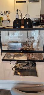 Terrarium 60x45x45, Ophalen