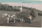 carte postale ancienne de charrette et cheval, voir photos,, 1920 à 1940, Non affranchie, Enlèvement ou Envoi, Luxembourg