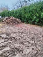 40 €/cube de bois de chauffage ; 90 % bois de cerisier 10 %, Jardin & Terrasse, Enlèvement