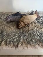 Tabby tijger vissen, Dieren en Toebehoren, Ophalen of Verzenden, Gebruikt