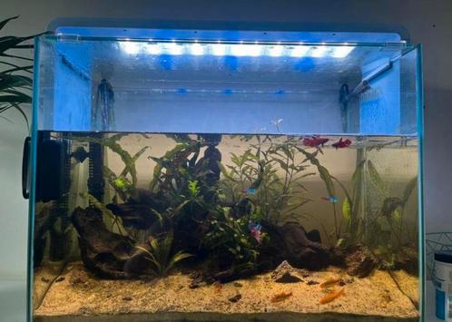 Aquarium 85l, Dieren en Toebehoren, Vissen | Aquaria en Toebehoren, Zo goed als nieuw, Ophalen of Verzenden