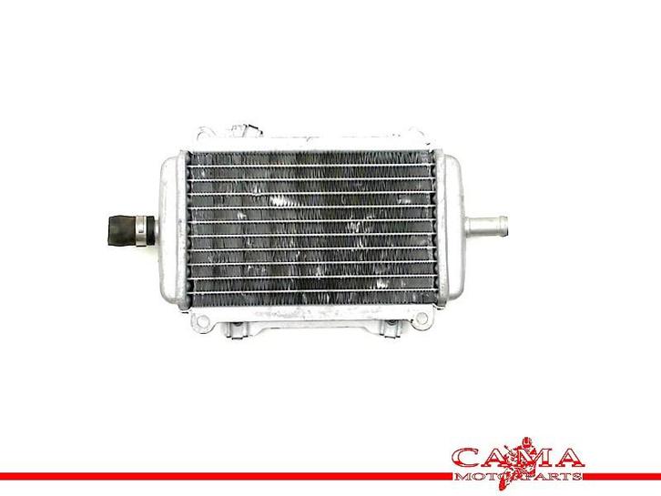 RADIATEUR Piaggio GTS 250 i.e 2005-2013 (GTS250), Motoren, Onderdelen | Overige, Gebruikt