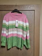 Trui esqualo maat xxl nieuw, Neuf, Taille 46/48 (XL) ou plus grande, Enlèvement ou Envoi, Autres couleurs