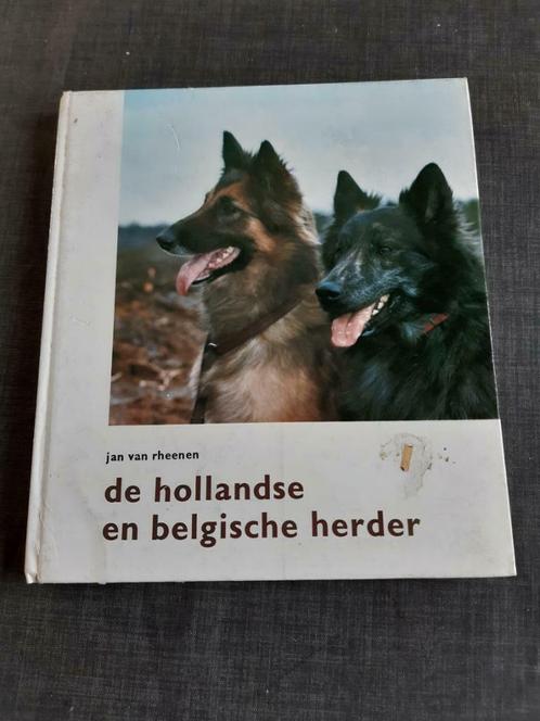 De Hollandse en Belgische herder – Jan van Rheenen, Boeken, Dieren en Huisdieren, Gelezen, Honden, Ophalen of Verzenden