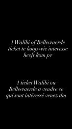 Ticket walibi ou Bellewaerde, Tickets en Kaartjes, Eén persoon, Pretpark