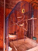 Plusieurs cage et canari liquidation totale, Animaux & Accessoires, Oiseaux | Canaris, Mâle