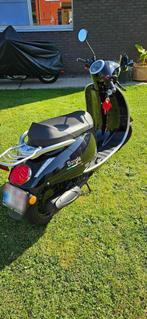 Neco borgia, Motos, Scooter, Neco, Particulier, 1 cylindre