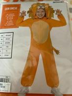 verkleedkledij voor kinderen, Ophalen of Verzenden, Zo goed als nieuw, Jongen of Meisje