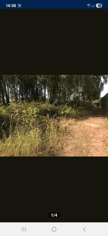 Bouwgrond te koop in Limburg Belgie, Diepenbeek, Ventes sans courtier, 1500 m² ou plus