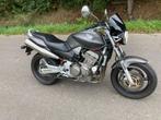 Honda CB900 F Hornet, Motoren, Motoren | Honda, 4 cilinders, 900 cc, Particulier, Naked bike