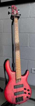 Cort B4 Element Active Bass Burgundy Red, Muziek en Instrumenten, Snaarinstrumenten | Gitaren | Bas, Ophalen, Zo goed als nieuw