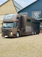 Camion chevaux 6 places pop out disponible, Automaat, Beige, Overige kleuren, Leder