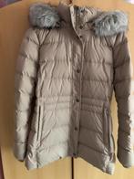 damesjas winter tommy hilfiger NIEUW, Kleding | Dames, Jassen | Winter, Tommy hilfiger, Beige, Maat 42/44 (L), Nieuw