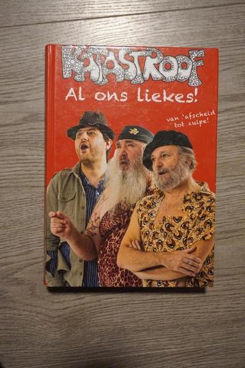 boek katastroof al ons liekes - 400 blz beschikbaar voor biedingen