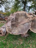 Boomstammen, Ophalen