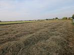 Hooi, Zakelijke goederen, Landbouw | Veevoer, Ophalen
