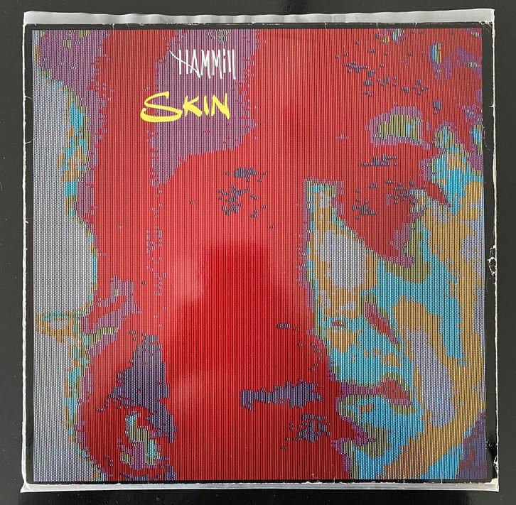 Peter Hammill - Skin - Vinyl, Cd's en Dvd's, Vinyl | Rock, Zo goed als nieuw, Ophalen of Verzenden