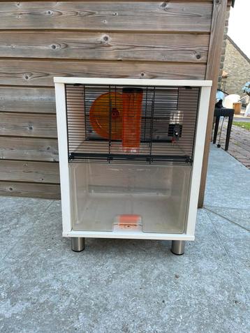 Leuke hamsterkooi beschikbaar voor biedingen