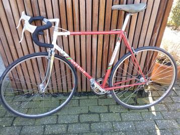 Gazelle champion mondial AA super frame, 10 à 15 vitesses, Acier, Enlèvement, Utilisé