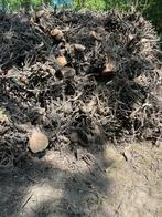 Gratis knotjes fruitbomen perenbomen, Tuin en Terras, Brandhout, Ophalen