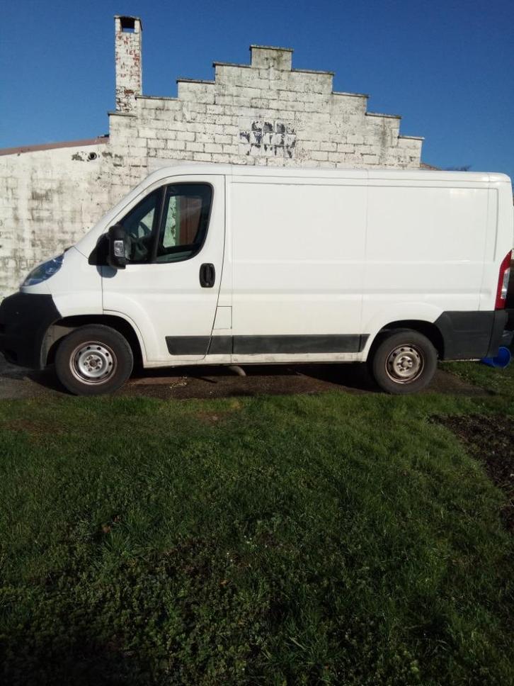 vide maison oli plus de 10 ans à votre service 0472/36 15 02, Diensten en Vakmensen, Verhuizers en Opslag