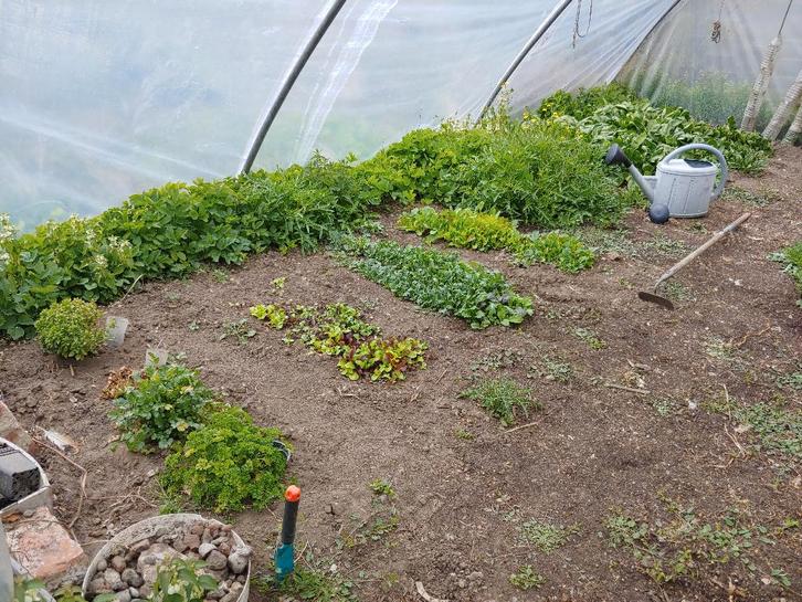 Tunnelserre frame (6m x 4m, 2m hoog), Tuin en Terras, Kassen, Gebruikt, Kweekkas, Staal, Folie, Ophalen