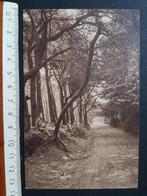 Postkaart Kluisberg Mont de l'Enclus Route de la tour, Ophalen of Verzenden, 1920 tot 1940, Ongelopen, Oost-Vlaanderen