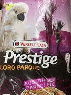 Prestige loro parque kaketoe, Dieren en Toebehoren, Papegaai