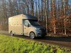 Paardencamionette/ paardenwagen, Dieren en Toebehoren, Ophalen, Nieuw, Overige materialen, 2-paards trailer