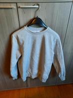 Trui maat small, Enlèvement, Porté, Taille 46 (S) ou plus petite