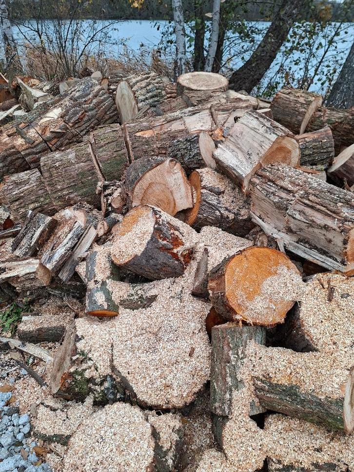 Brandhout (20-25 stères) - reeds op 30 cm gezaagd., Tuin en Terras, Brandhout, Stammen, 6 m³ of meer, Ophalen
