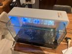 Superfish Aquarium Home 60 liters wit, Ophalen, Zo goed als nieuw