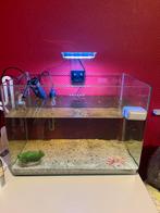 Aquarium, Dieren en Toebehoren, Vissen | Aquaria en Toebehoren, Ophalen
