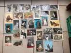 Lot oude postkaarten honden en katten, Dieren en Toebehoren, Ophalen of Verzenden, Gebruikt