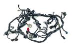 KABELBOOM Kawasaki Z 900 2017-2019 (Z900 ZR900) (260312288), Gebruikt