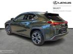 Lexus UX 250h Executive Line & Roof, Achat, Euro 6, Entreprise, 152 ch