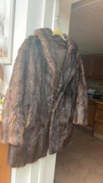 Mooie oude pelzen jas, Kleding | Dames, Jassen | Winter, Ophalen, Zo goed als nieuw, Maat 42/44 (L)