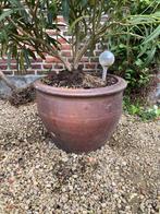 Bloempot, Tuin en Terras, Bloempotten, Ophalen, Gebruikt
