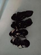 Schoenen, Kleding | Dames, Schoenen, Ophalen