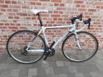 Koersfiets maat 52, Fietsen en Brommers, Ophalen, Zo goed als nieuw, Carbon
