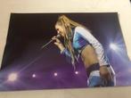 PANINI albumkaart, Ophalen of Verzenden, Nieuw, Stickers en Plaatjes