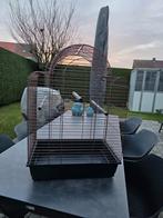 Vogelkooi, Ophalen, Zo goed als nieuw, Vogelkooi