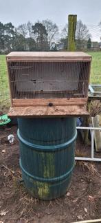 Kweekkooien parkieten en benodigheden, Plusieurs animaux, Perruche