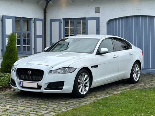 JAGUAR XF 2.0D EURO 6C VOLLEDIGE OPTIE, Auto's, Jaguar, Particulier, XF, Achteruitrijcamera, Diesel, Euro 6, Berline, 5 deurs