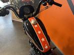 Harley-Davidson Chopper Sportster 1200 (bj 2019), Motoren, Motoren | Harley-Davidson, Overig, 1200 cc